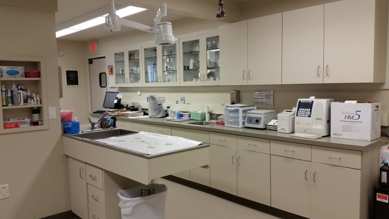 Pharmacy & Laboratory Pharmacy & Laboratory